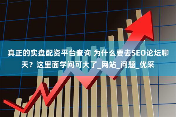 真正的实盘配资平台查询 为什么要去SEO论坛聊天？这里面学问可大了_网站_问题_优采