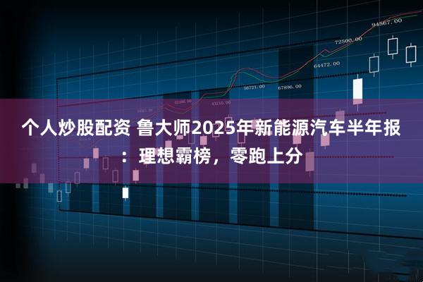 个人炒股配资 鲁大师2025年新能源汽车半年报：理想霸榜，零跑上分