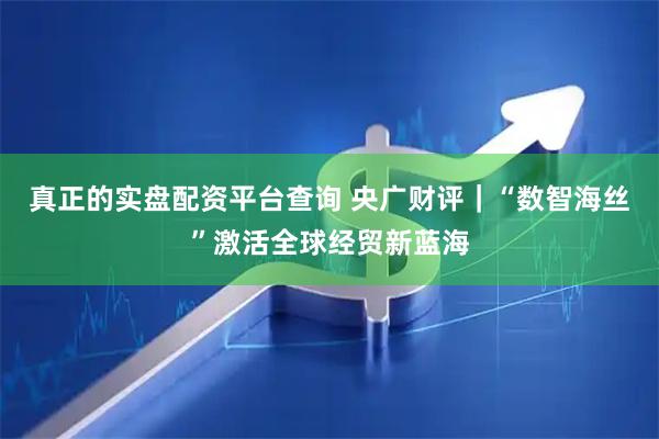 真正的实盘配资平台查询 央广财评｜“数智海丝”激活全球经贸新蓝海