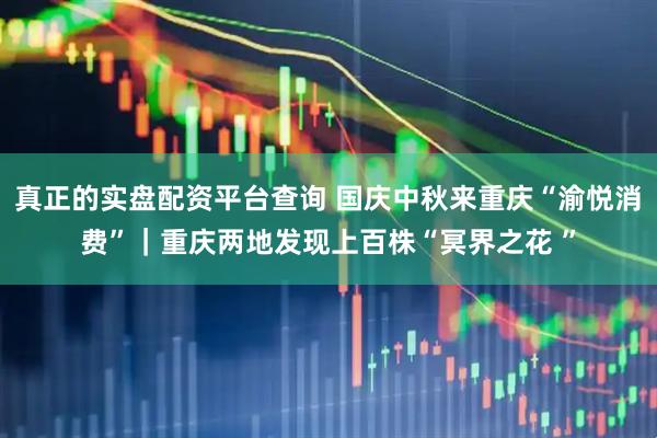 真正的实盘配资平台查询 国庆中秋来重庆“渝悦消费”｜重庆两地发现上百株“冥界之花 ”