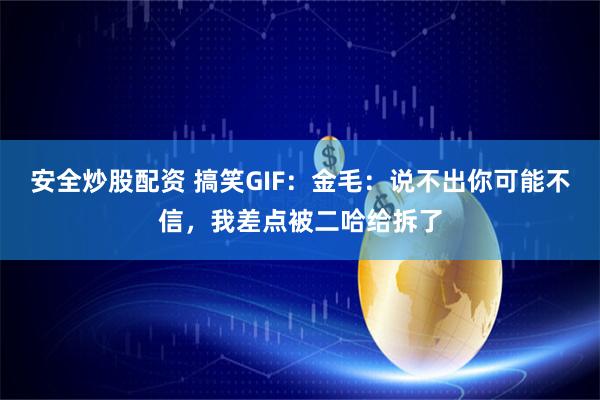 安全炒股配资 搞笑GIF:金毛:说不出你可能不信,我差点被二哈给拆了