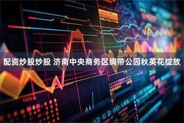 配资炒股炒股 济南中央商务区绸带公园秋英花绽放
